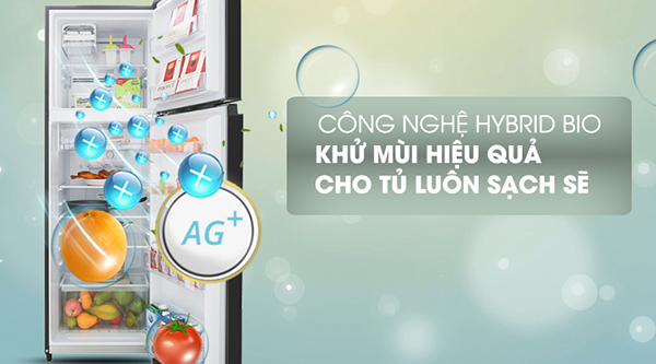 5 mẫu tủ lạnh bền đẹp, tiết kiệm điện năng cho mùa nóng