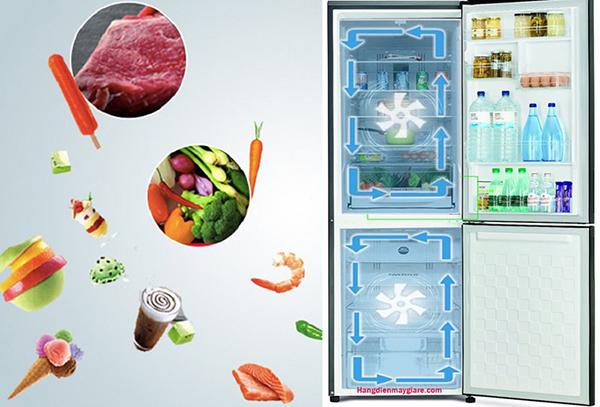 5 mẫu tủ lạnh bền đẹp, tiết kiệm điện năng cho mùa nóng